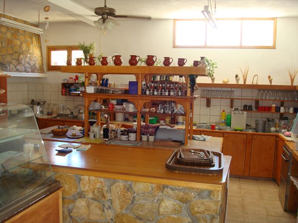 DSC02218