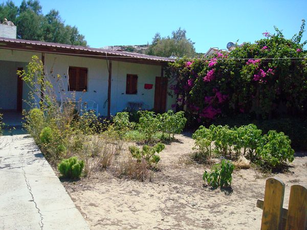 DSC02230